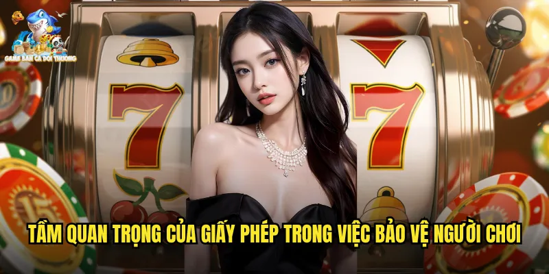 Tầm quan trọng của giấy phép trong việc bảo vệ người chơi